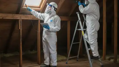 Mold inspection in Berkeley, CA home by water damage restoration specialist