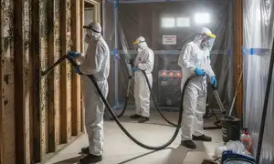 Berkeley, CA mold remediation services for water damage restoration by local professionals